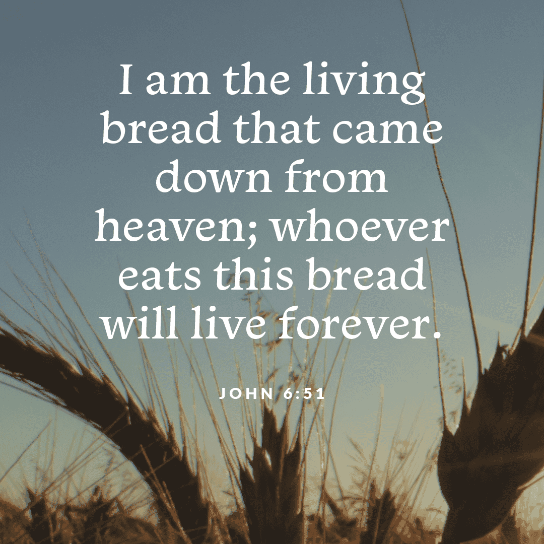 HBGDiocese's tweet photo. I am the living bread that came down from heaven; whoever eats this bread will live forever. (John 6:51)

#DailyFaith #DailyCatholic #Catholic #DailyScripture #Scripture #Heaven #Forever https://t.co/SW6JARswPd