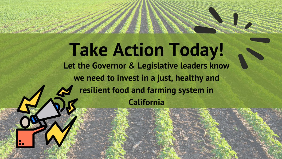 pesticideaction's tweet photo. URGENT: Time to act California! Please take three minutes to let @GavinNewsom and #CALeg leaders know we need a healthy, just and resilient food &amp; farming system in California NOW. #AB125  #vote4yourfood 

https://t.co/DqkSZqH5B5 https://t.co/CkFTQcaM37