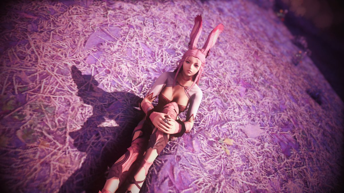 Marion_nanou's tweet photo. #FFXIV #PinkViera #gshader #MayaPurple #GPOSERS https://t.co/VxeXhLV93C