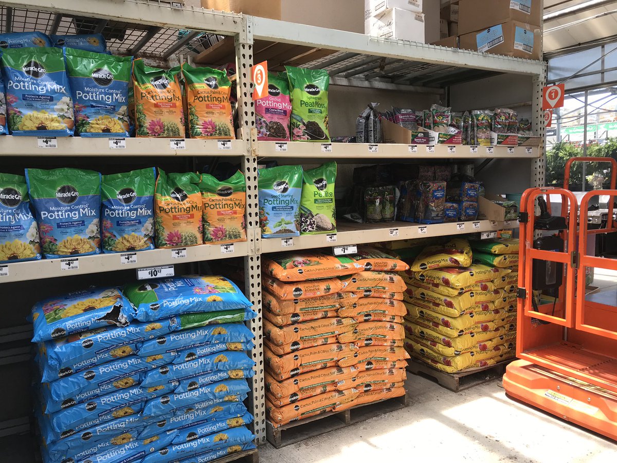 Shaina M-Collins tweet media