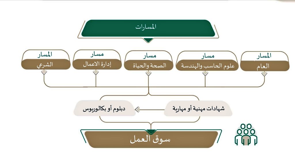 علوم الحاسب والهندسة مسار ما هو