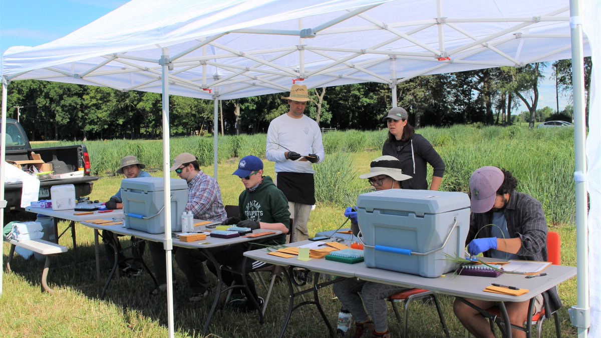 Malmstrom Ecology Lab (@malmstromecolab) on Twitter photo Fun RNASeq campaign in the switchgrass diversity panel this week! Here the processing team handles incoming samples. 1/3 <a href="/doescience/">DOE Office of Science</a> @MSU_NatSci Fun RNASeq campaign in the switchgrass diversity panel this week! Here the processing team handles incoming samples. 1/3 <a href="/doescience/">DOE Office of Science</a> @MSU_NatSci