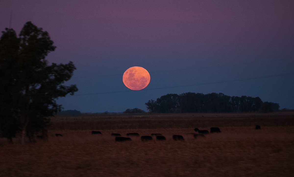 Pendiendo de un cable ~ 🌕
#LunaLlena #Ruta #Viajar #Atardecer #Cielo #Nubes #HoraMagica #SonyAlpha #SonyLens #sonyargentina