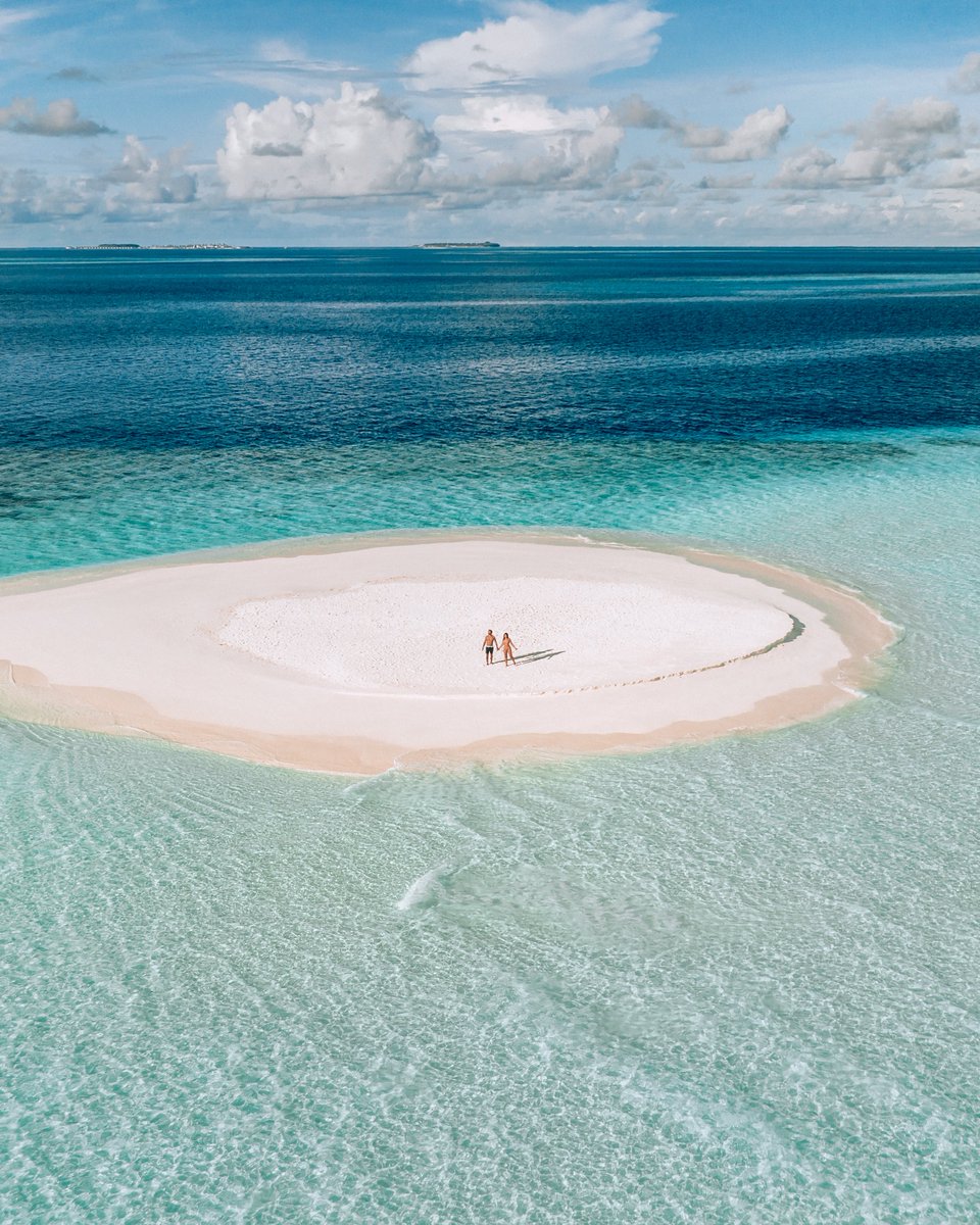 Amy Seder tweet media