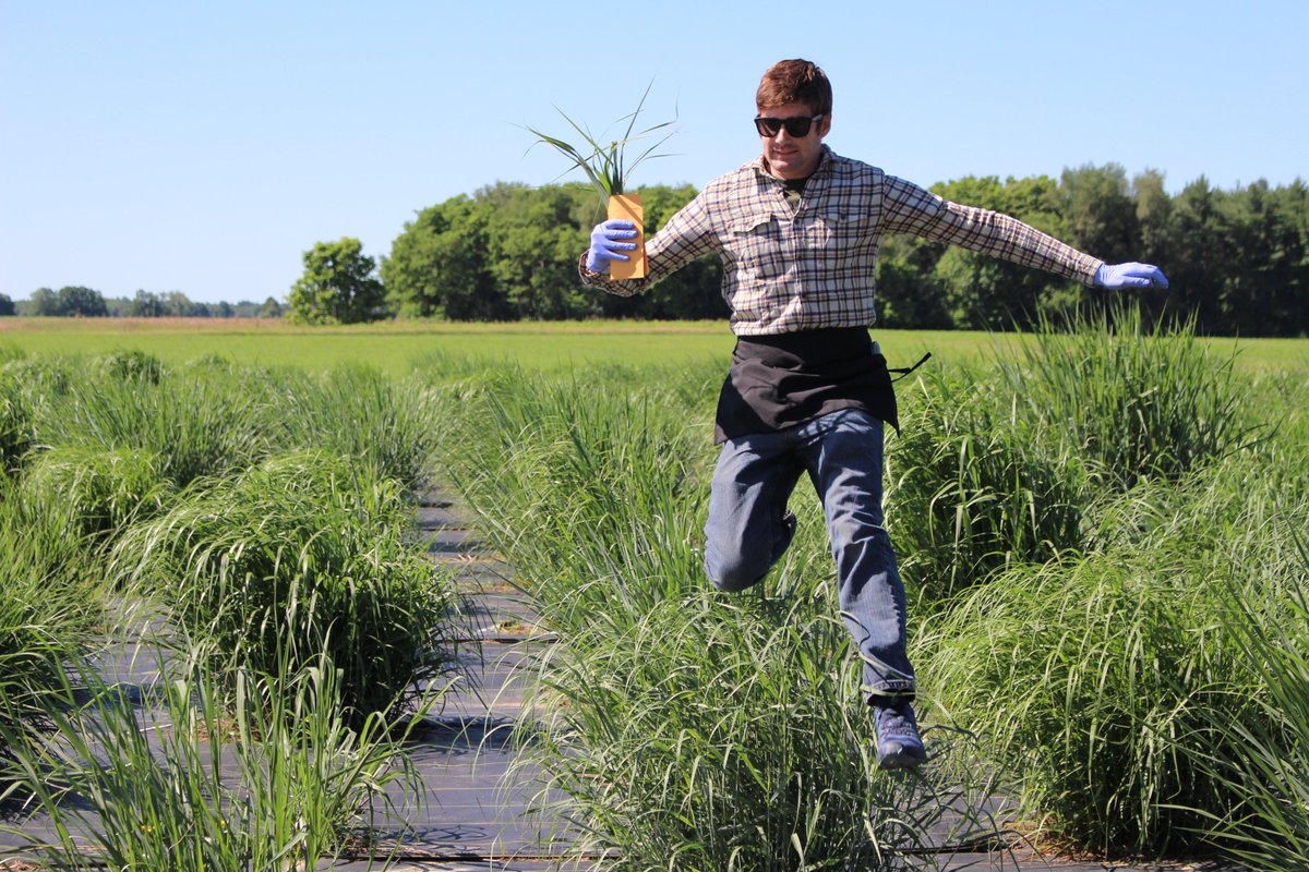Malmstrom Ecology Lab (@malmstromecolab) on Twitter photo RNASeq field campaign: Runners collect leaf samples and rush them to the processors. 2/3 <a href="/doescience/">DOE Office of Science</a> @MSU_NatSci RNASeq field campaign: Runners collect leaf samples and rush them to the processors. 2/3 <a href="/doescience/">DOE Office of Science</a> @MSU_NatSci