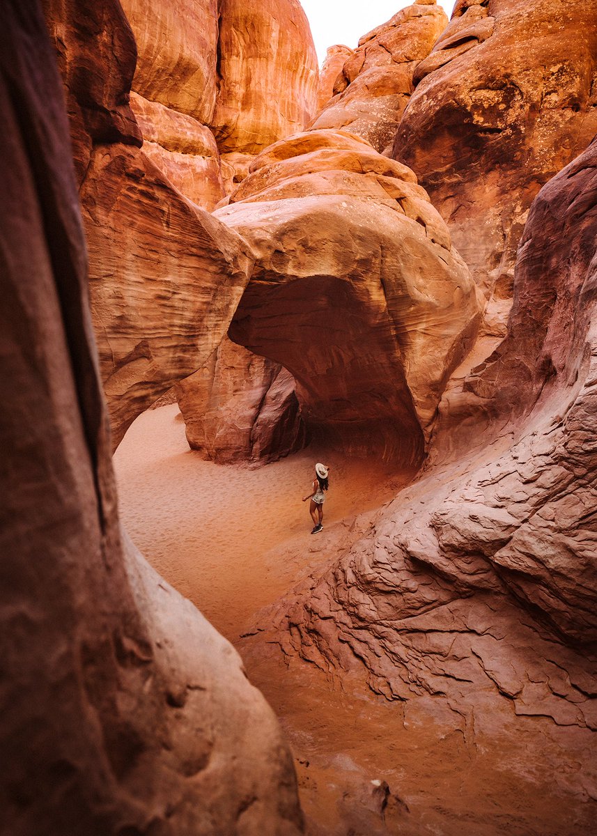 Amy Seder tweet media