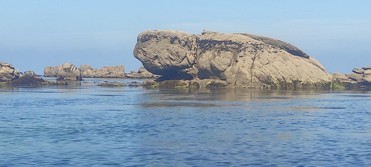 Ce matin, en canoë au large de Penmarch, la nature inspirante à marée basse avec tortue et  "gargouilles", vigies inanimées face aux éléments. Un moment et un lieu formidables pour favoriser la créativité !