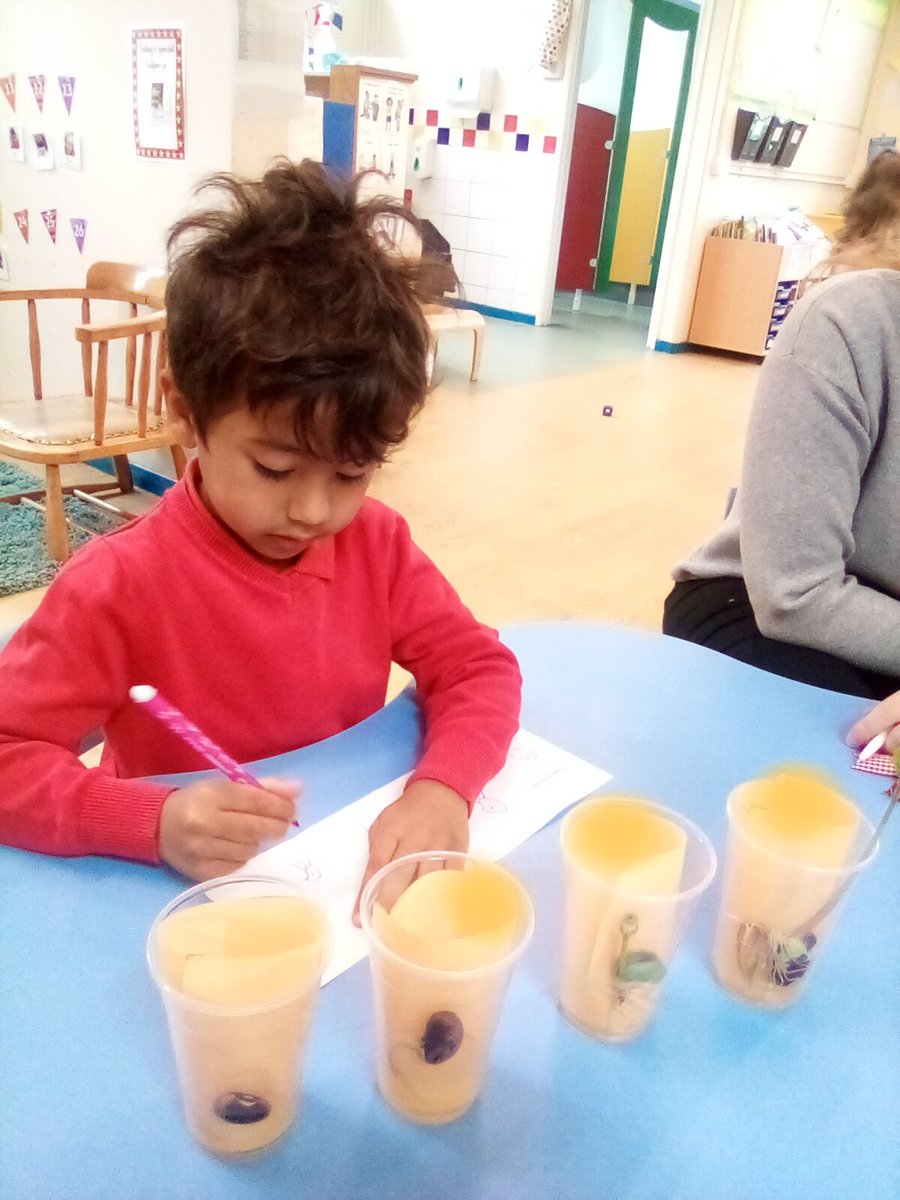 WhetstoneNurs's tweet photo. Nursery have been looking after their beans and watching them grow. Today we looked very carefully at them and drew what we could see. https://t.co/vP2yjlKfoi