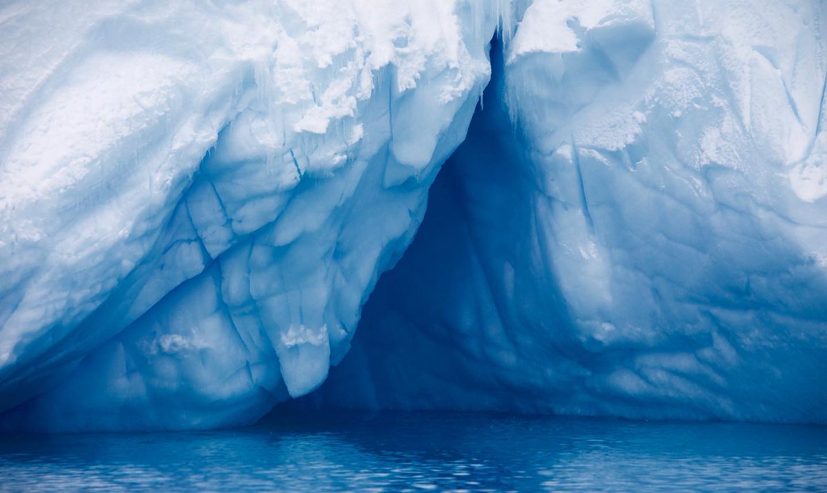 Revisiting some photos I took on my last trip to Antarctica and this one is pulling my heart strings! Unrelated: tonight is a full strawberry super moon!🍓🌝