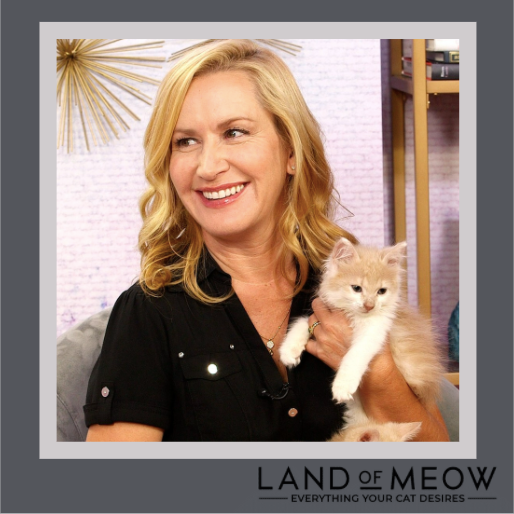 LandOfMeow's tweet photo. HAPPY BIRTHDAY ANGELA KINSEY! Angela Kinsey is an American actress who is best known for her portrayal of Angela Martin, the uptight cat-loving accountant in the hit television series ‘The Office.’ The show ran successfully for eight seasons and made Angela a household name. #fcf https://t.co/U8HiEzVsKD