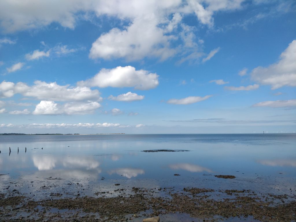 The sky seems to have fallen into the sea

📷 The Swale Estuary bringing a lot of beauty today as the tide goes out

#SwaleEstuary #Seasalter #natureascotherapist #ecotherapy #kent