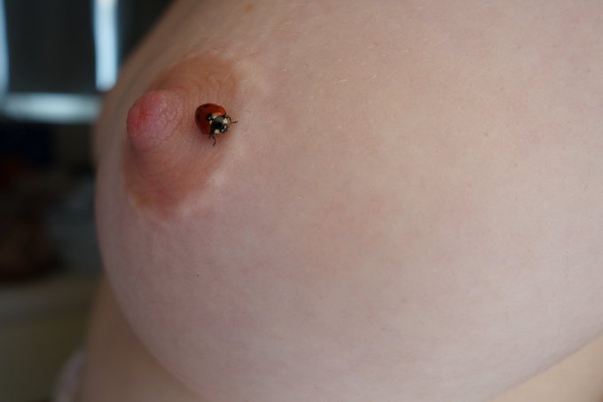 Il parait que &ccedil;a porte bonheur. Faut faire un v&oelig;u. 😊 https://t.co/23eHPOTkFD