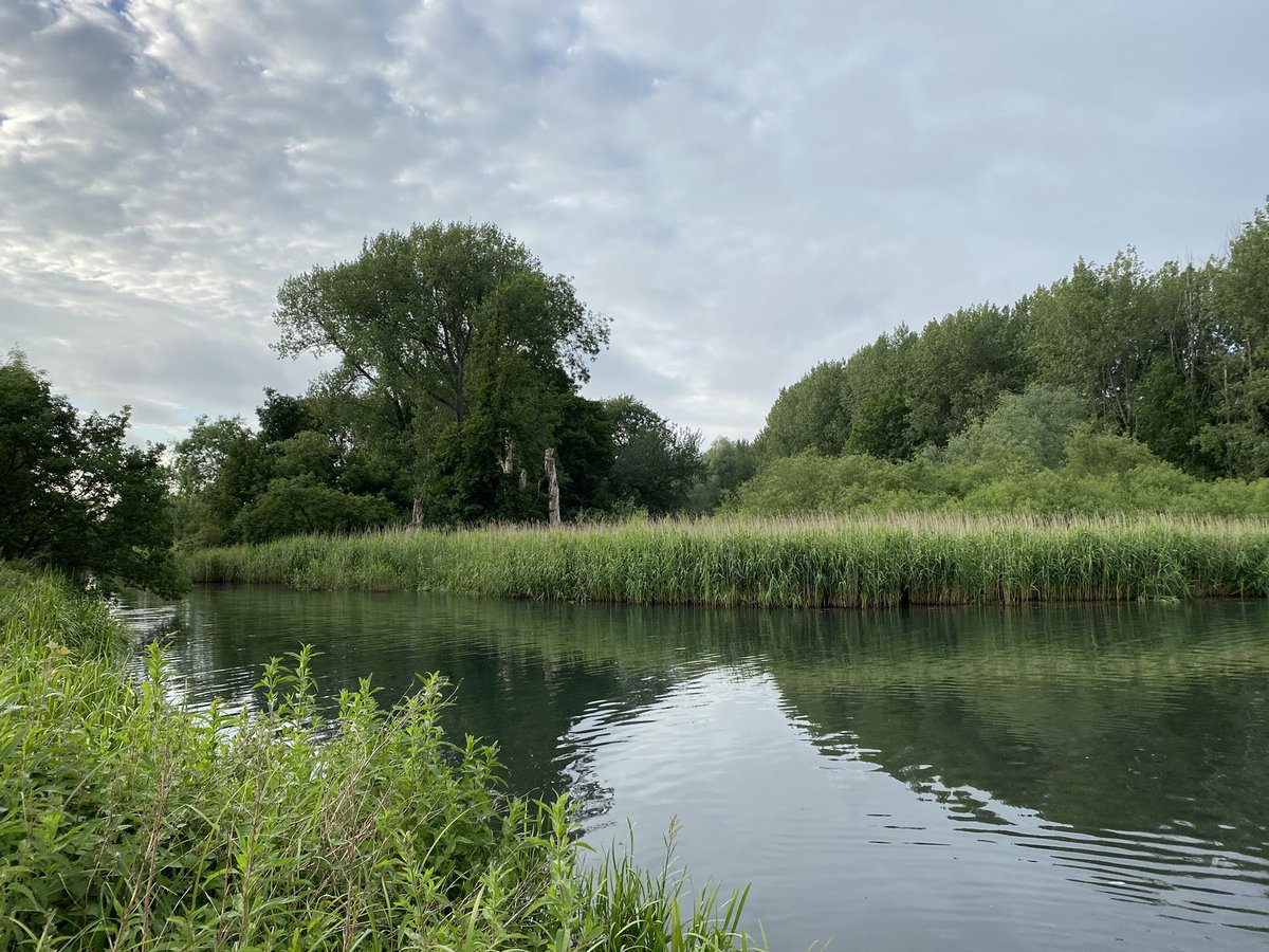 100億円トレーダー@バンコク在住🇹🇭 tweet media