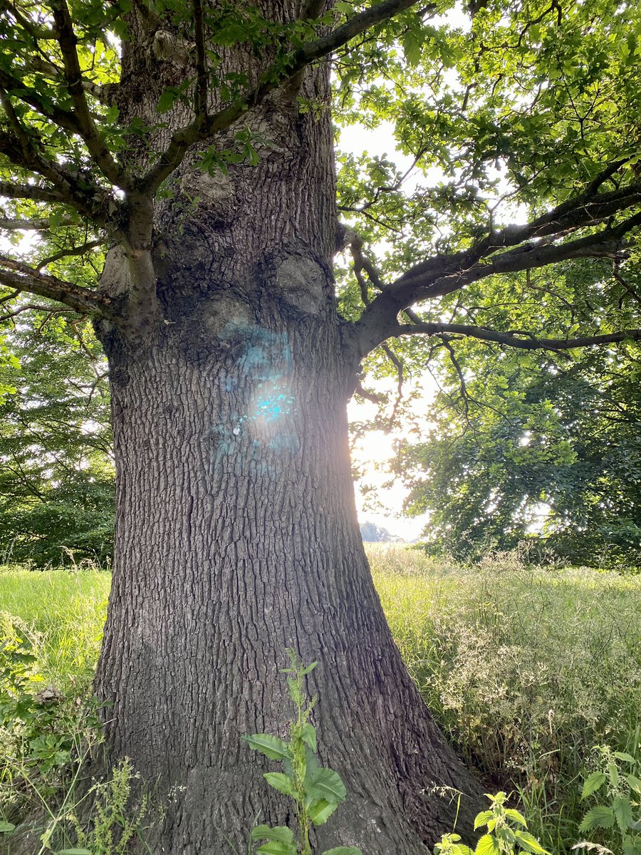 100億円トレーダー@バンコク在住🇹🇭 tweet media