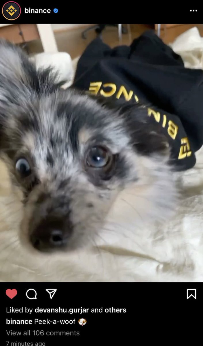 Sharloot tweet media