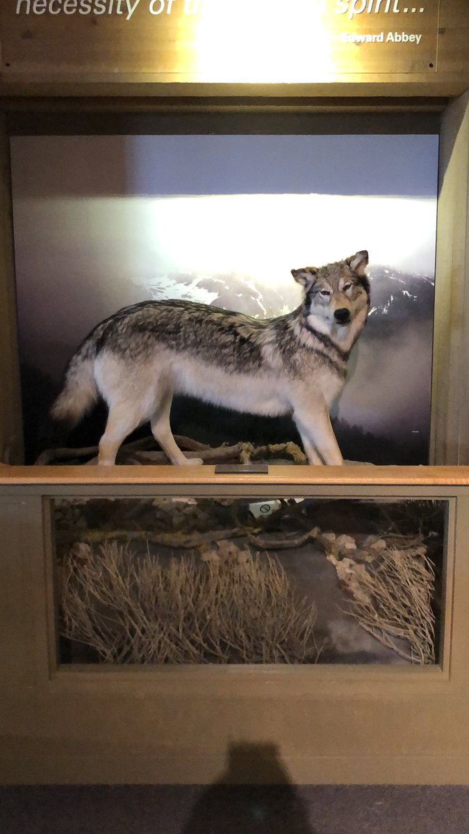 Adam Jacobson tweet media