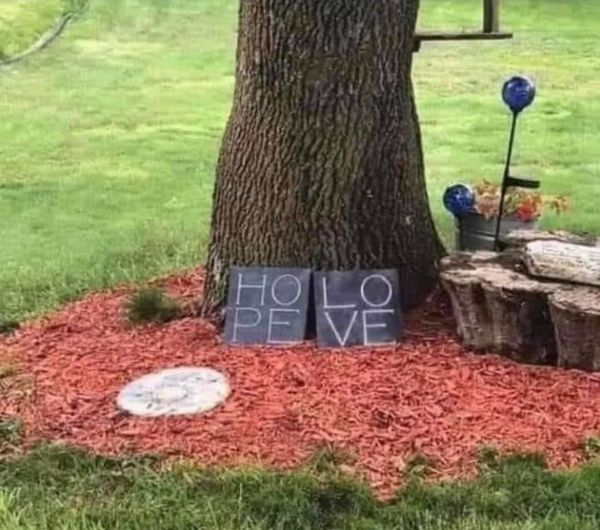 joshcarlosjosh's tweet photo. and now these two remain: holo and peve. but the greatest of these is peve. https://t.co/Icfr0Iou6e