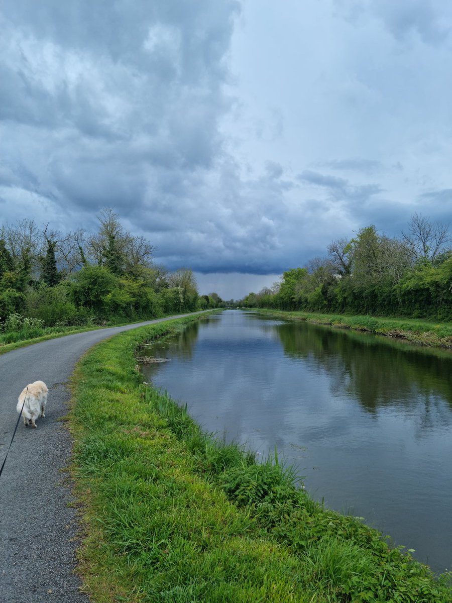 niamhmcnally5's tweet photo. Just managed to get my run in before the rain hit! Still time to support the #OneFUNdraisingRun #celebratewhatsright @Alltech @AlltechIreland #OneBigIdea https://t.co/QALQplgmr1