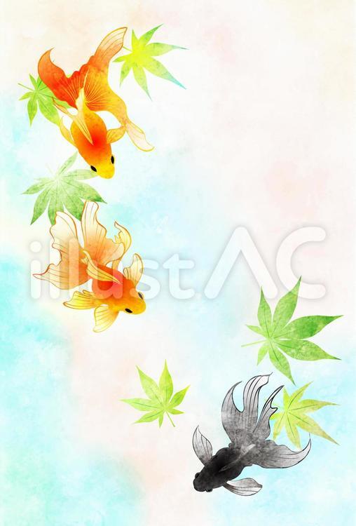 十野七 ストックイラストやってます おはようございます ふんわり虹色の中を優雅に泳ぐリュウキンと青もみじの暑中見舞いはがきです どこか寂しげな感じなので残暑見舞いにもどうぞ プロフから行けるリンク先には横型もあります イラストac 十野七 ストックイラストやってます おはようございます ふんわり虹色の中を優雅に泳ぐリュウキンと青もみじの暑中見舞いはがきです どこか寂しげな感じなので残暑見舞いにもどうぞ プロフから行けるリンク先には横型もあります イラストac