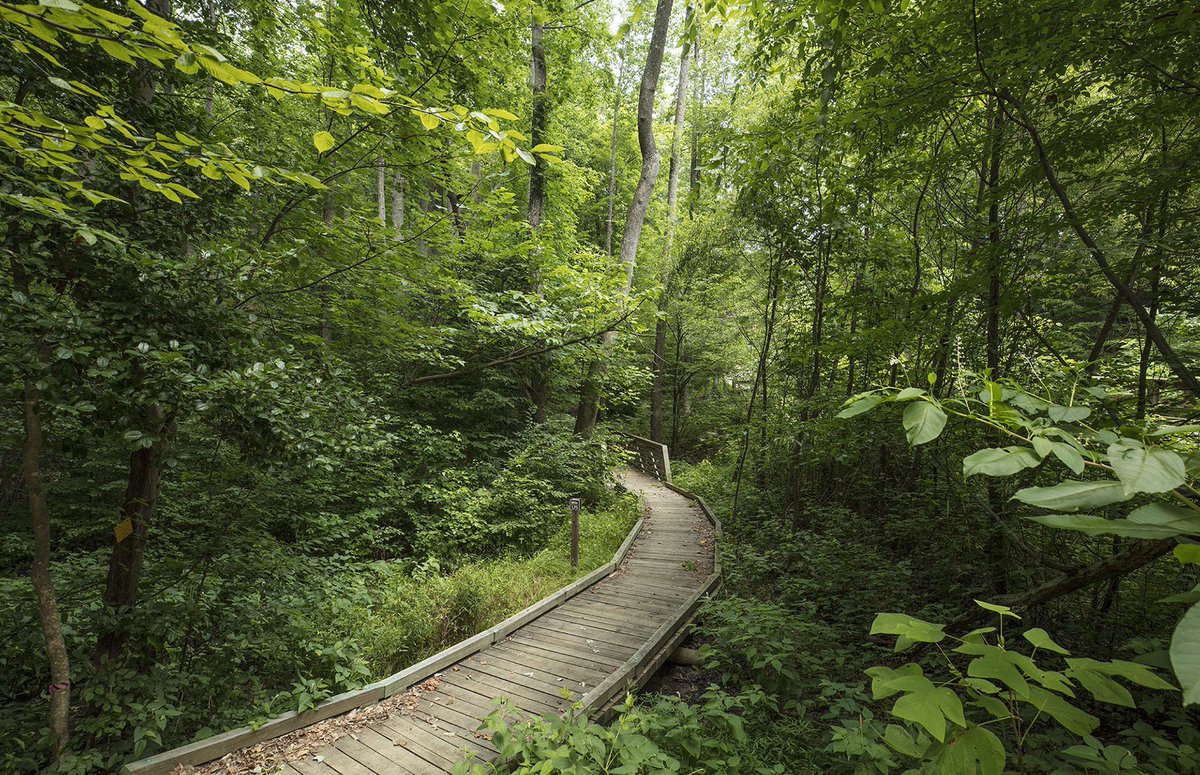 The new, single-family homes by Pulte Homes at Potomac Shores, combine upscale living with an amazing location in the Woods Manor neighborhood. From the Upper $600Ks. potomacshores.com/homes/pulte-ho…