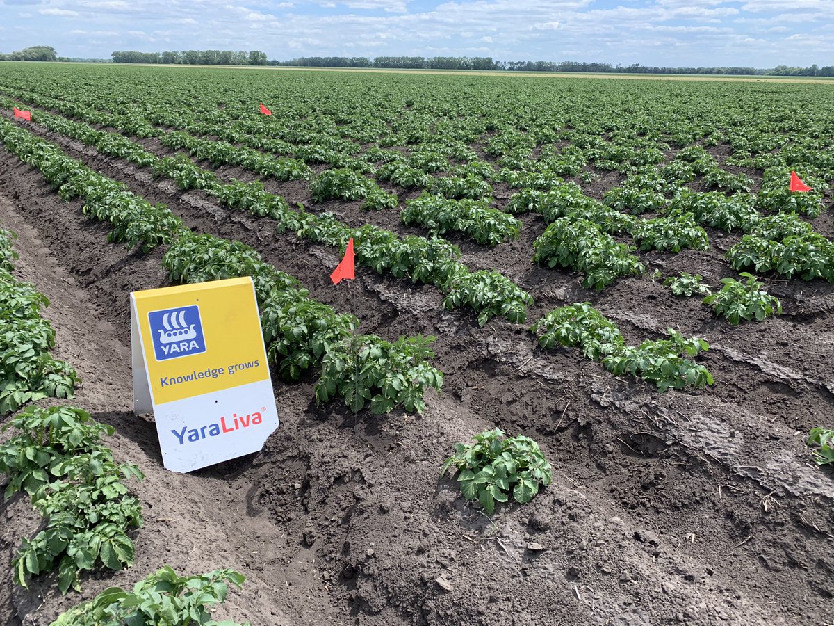 Neil Iverson tweet media