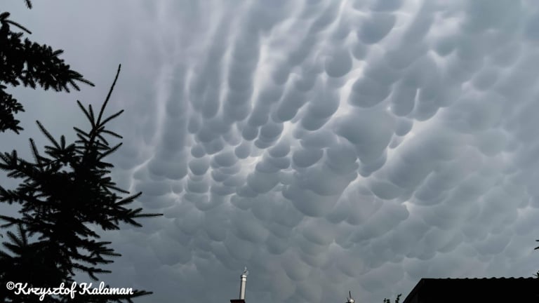 Planepilot123's tweet photo. Mammatus clouds in Warsaw after a heavy storm!😍

If you know me from my main profile on Instagram, I will post here non-aviation photos that I think look beautiful.

If you find me here and you like aviation go check out my Instagram account  https://t.co/jjw5he06R3 https://t.co/OjJB7iWFIG