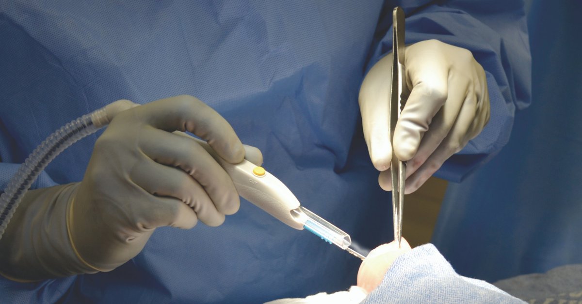 Congratulations to Oregon which became the fourth state to go #surgicalsmoke free when Governor Kate Brown signed HB 2622 into law on June 23!  aorn.org/about-aorn/aor…