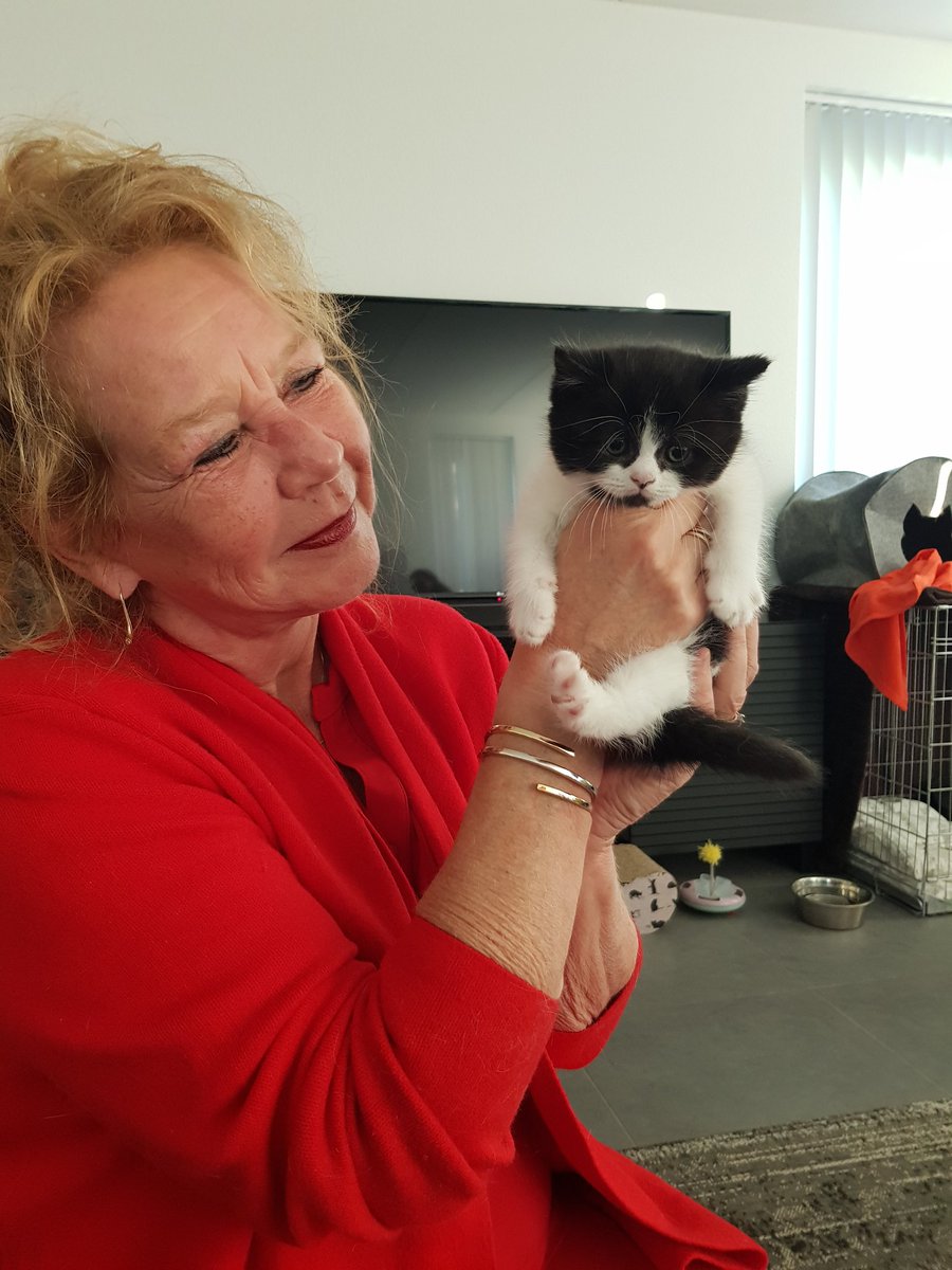 LoezzB's tweet photo. Vanavond irl kennis gemaakt met HANSJE 🥰 Hij komt begin augustus bij mij wonen 💕 #flieft https://t.co/ilfnvAhrQ8