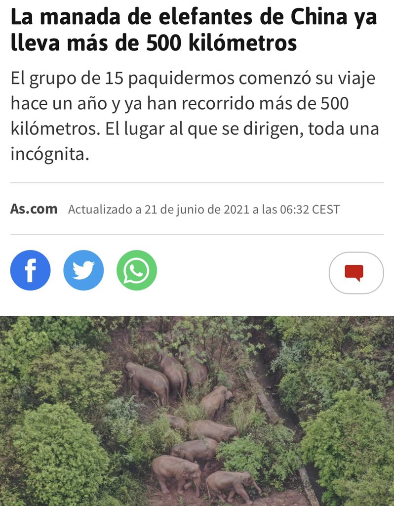 Lorien_Spl's tweet photo. Muchachos, putivuelta 🥳 https://t.co/V7NBZ7xyH4