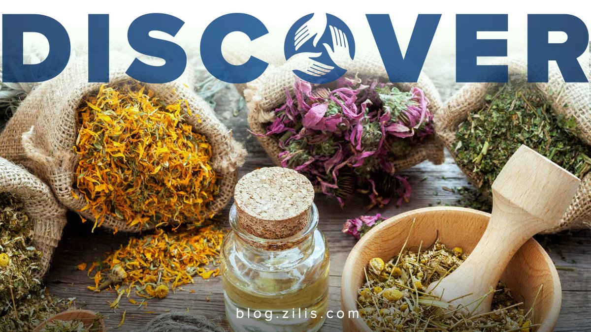 ZilisLLC's tweet photo. Have you ever heard of adaptogens? They help our bodies in reacting to and recovering from situational stress, among other things! Check out this week’s blog at https://t.co/uHfvAtzVAa to learn more! https://t.co/u7tSNki0uQ