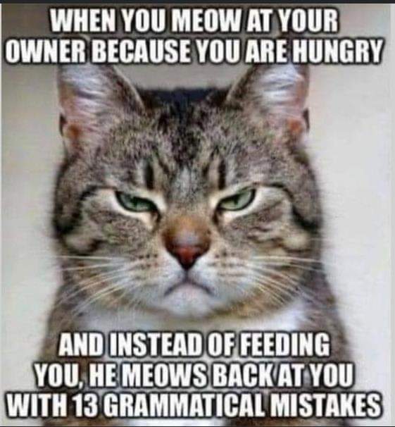 🤣