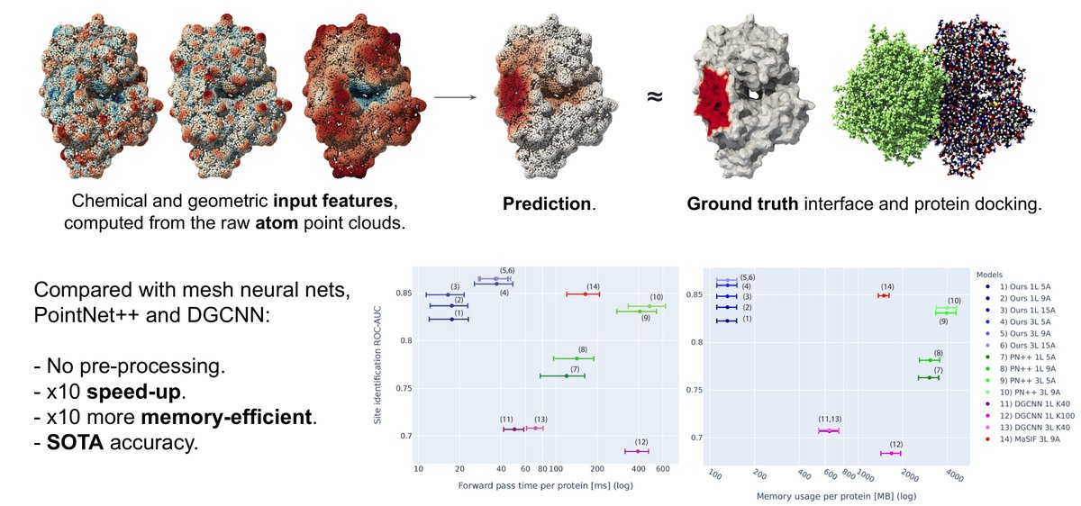 FeydyJean's tweet photo. Fast end-to-end learning on protein surfaces (w. @FreyrSverrisson, @befcorreia and @mmbronstein) will be live soon at #CVPR2021. Join us for a chat at 10pm-12.30am EDT (Paper Session 11). 
https://t.co/tau6sprFpU https://t.co/cYJDOZcLds