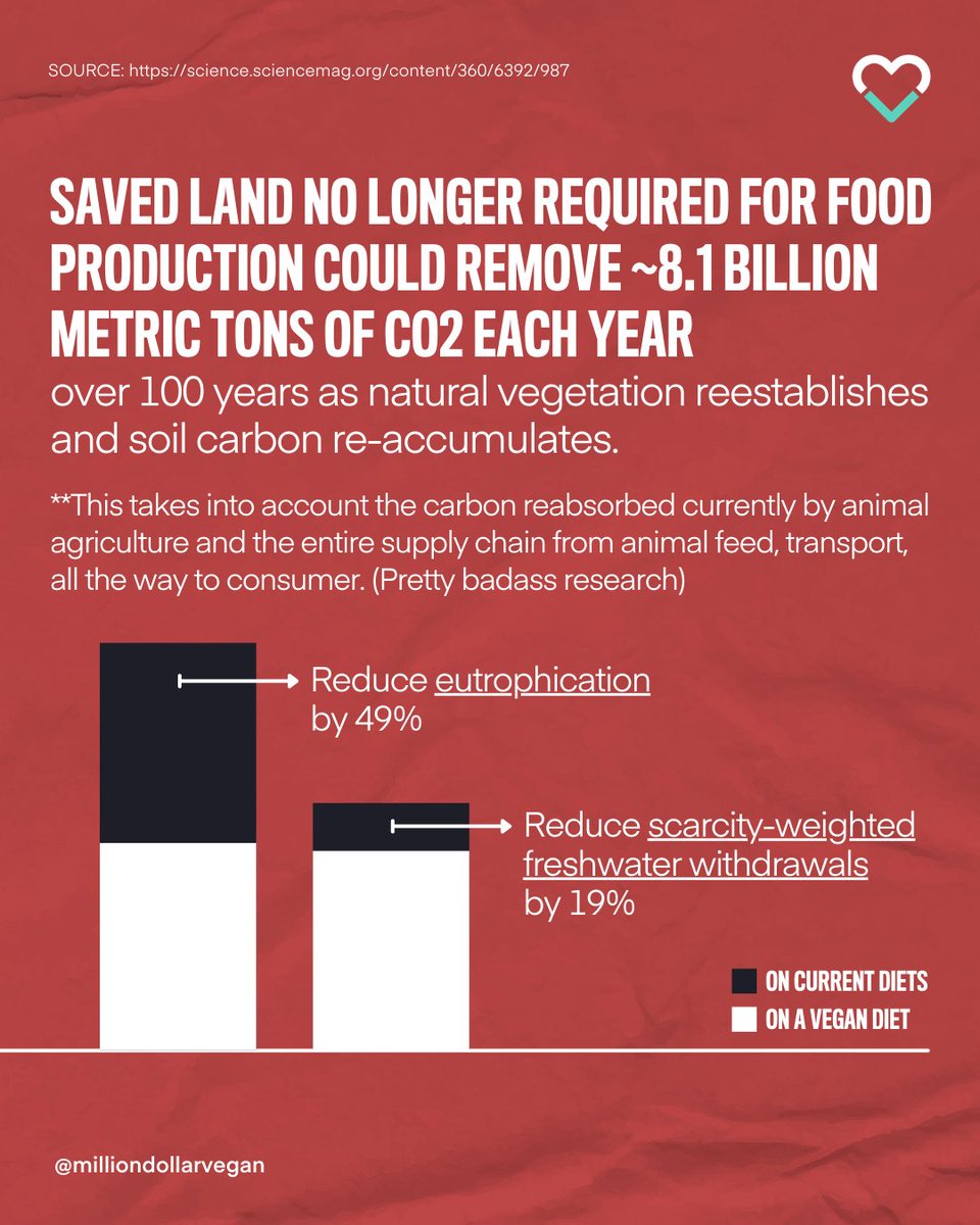 slingshot_uk_'s tweet photo. #RegenerativeAgriculture may be trending, but the anecdotal idea that cattle-grazing is good for the planet is strongly refuted by scientists.🐄 

The best way to sequester carbon is through #veganic farming.

Read more: https://t.co/NJj9tWu2pN
__
REF: https://t.co/9wIrqiKYmB https://t.co/m92zoaYE72