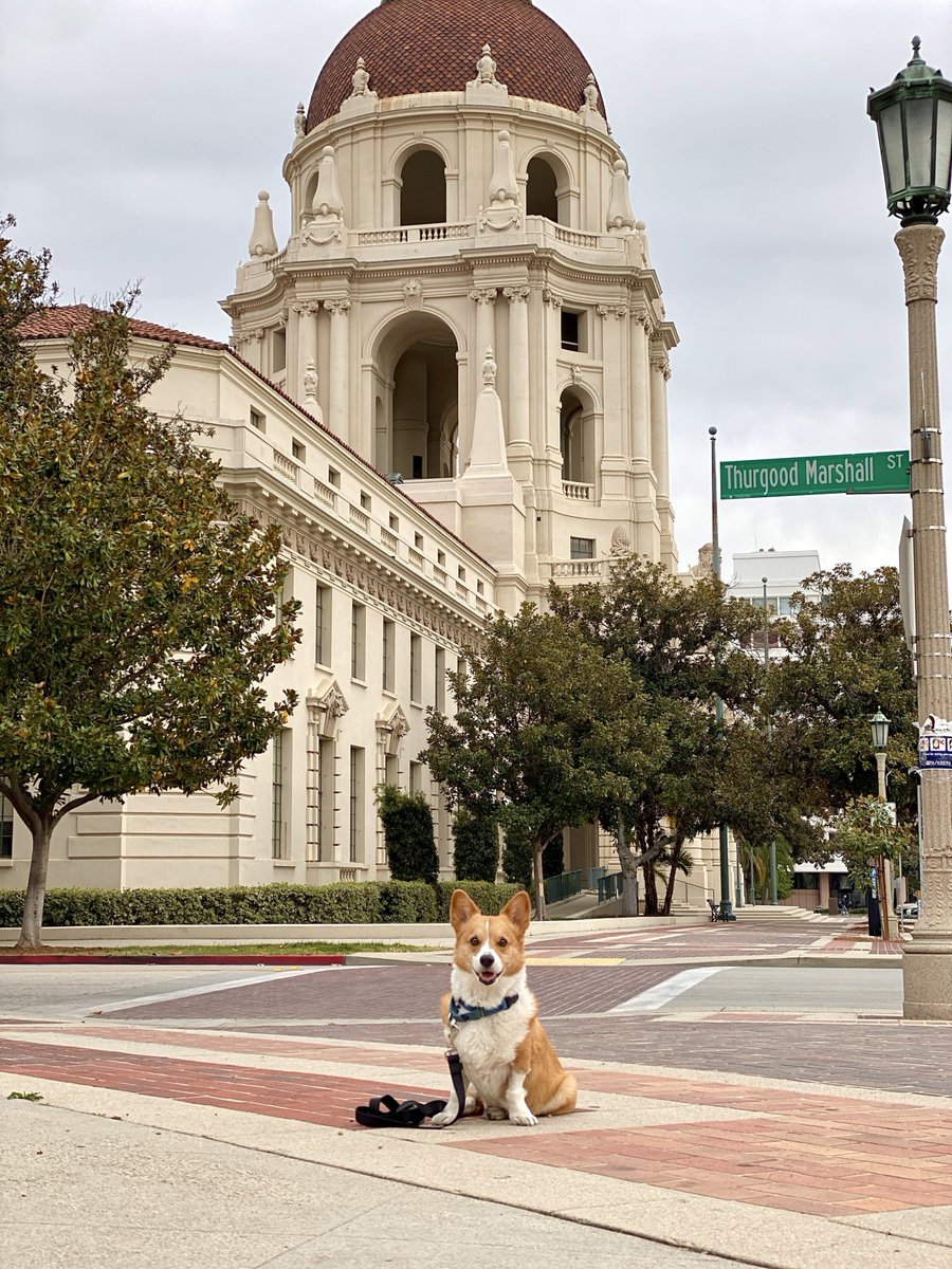 VisitPasadena's tweet photo. Thanks @chestnutandemmett and @arn3ng for spreading a little pawsitivity and a smile. #visitpasadena #pasadenaca #corgi #corgisofinstagram #dogsofinstagram #petsofpasadena #junegloom https://t.co/cvrBHc5xTi