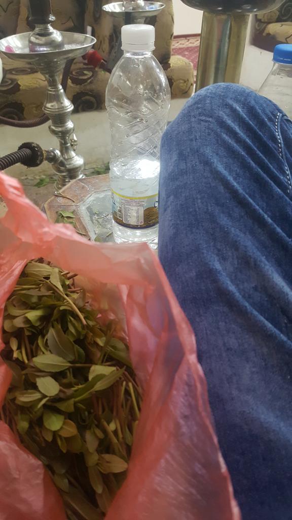 هي تجو تخزن معي في منتزه في حده😘