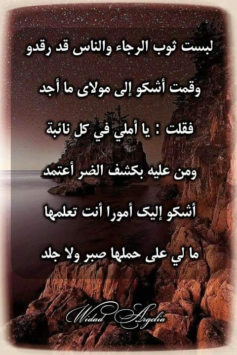 أبوصالح هارون‎ (@abosaleh_123) on Twitter photo 