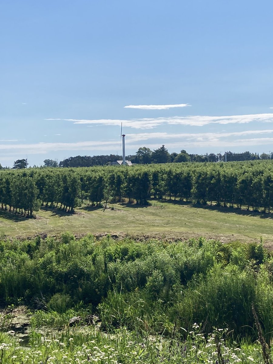 Stefan Dewaele tweet media