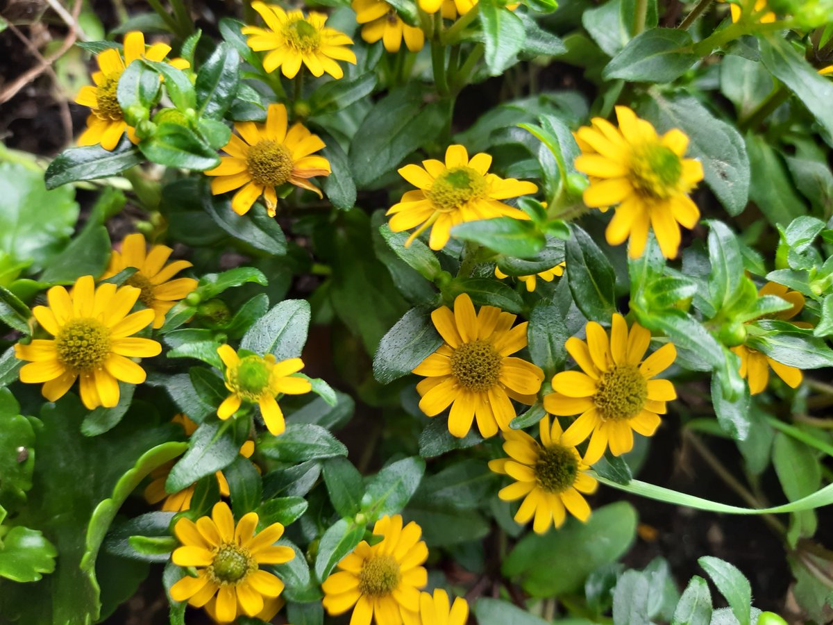 nights

how many nights
i have an opened eyes
throw away all my dreams
chances to meet you again

sleepless nights 
over and over again
listening to the whispering wind
brings your longings

over thousands stars
one smiles by the window
sending me hopes
to carry on

#CelahAwan