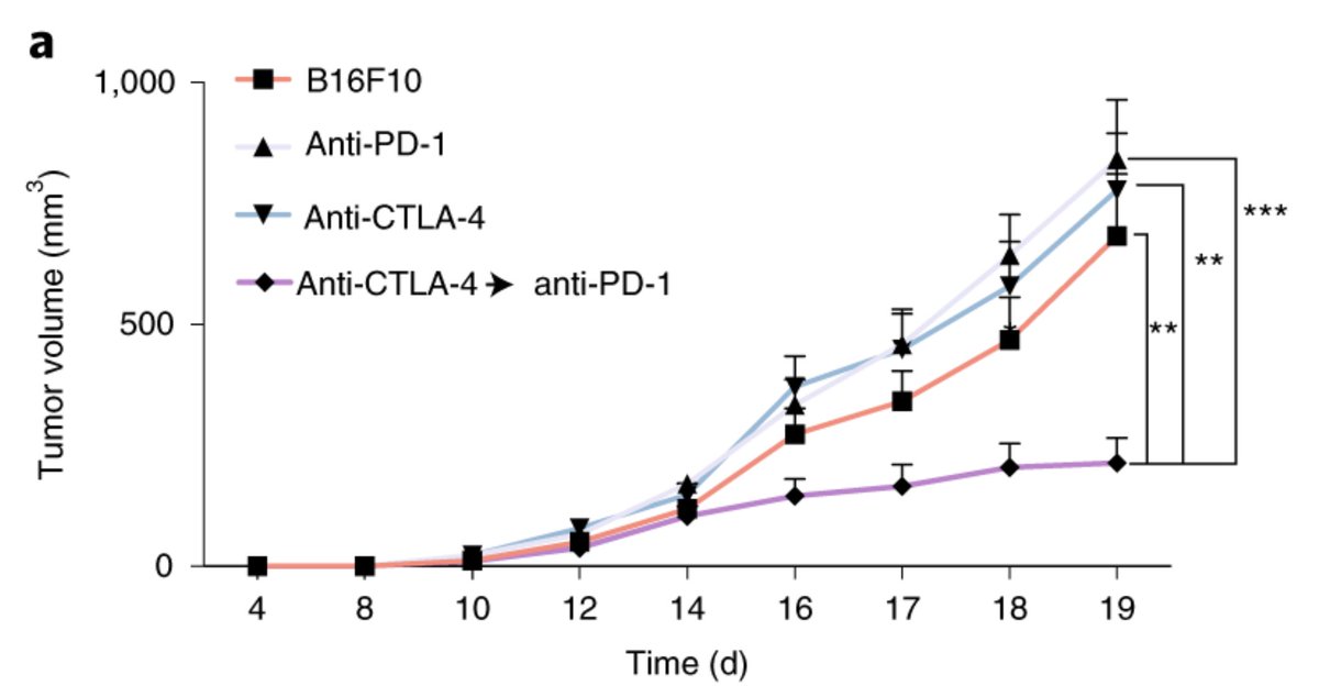 Patrik Andersson tweet media