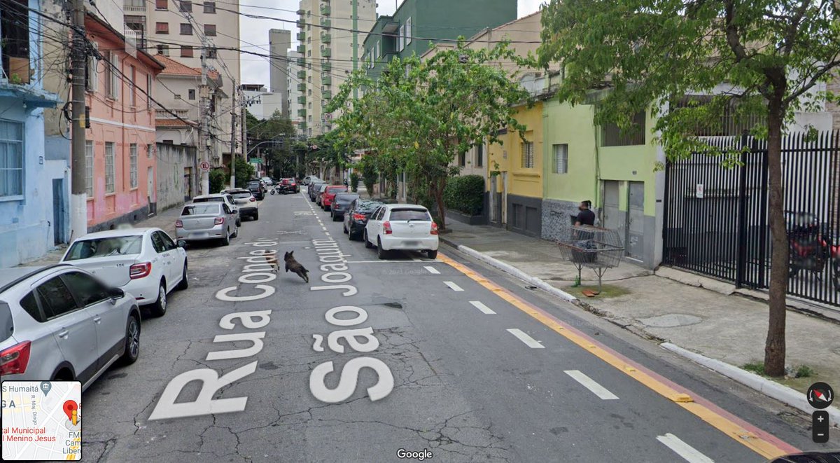 guuTin's tweet photo. Exemplo de como me distraio muito facilmente:
Estou aqui procurando apartamentos pelo @quintoandar e sempre dou uma olhada no street view pra ver como é a rua. Daí eu vejo na frente do carro 2 doguineos... e fiquei desesperado procurando aonde eles foram parar 🤣 Achei, ufa... 😅 https://t.co/kizRCC2NYp