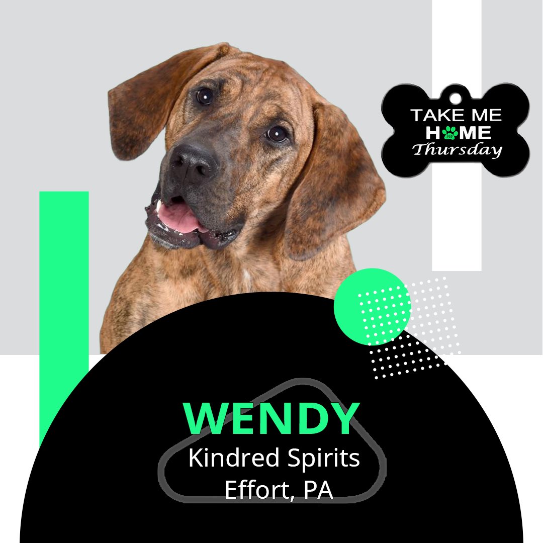 Take Me Home Thursday🏠🐾

A full weekend of <a href="/NASCAR/">NASCAR</a> racing is in order <a href="/PoconoRaceway/">Pocono Raceway</a>! Wendy wants to join you in all the fun! She’s available at Kindred Spirits in Effort, PA.

petfinder.com/dog/wendy-4701…

#TakeMeHome #PedalDownforPets #NASCAR #NCWTS #XfinitySeries #CupSeries