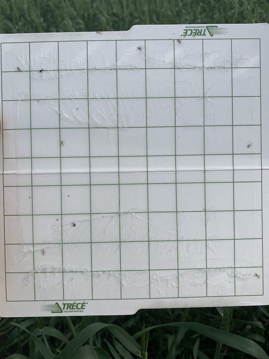 Riddell Seed Co. tweet media