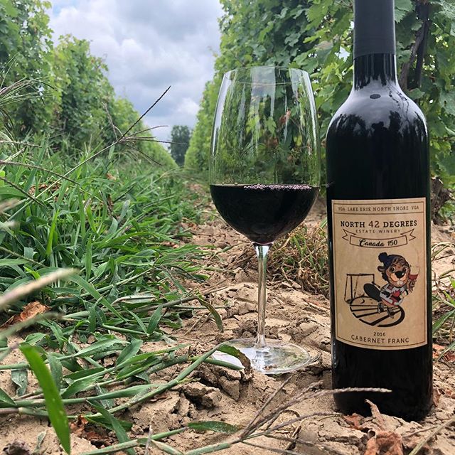 Let’s celebrate #OntarioWineWeek in Windsor Essex! Our <a href="/EPICWineries/">EPIC Wineries</a> are ready to welcome you back to show why they are some of the best grape growers in Ontario! Click visitwindsoressex.com/wine for a list of our partners including <a href="/north42degrees/">North 42 Degrees</a>