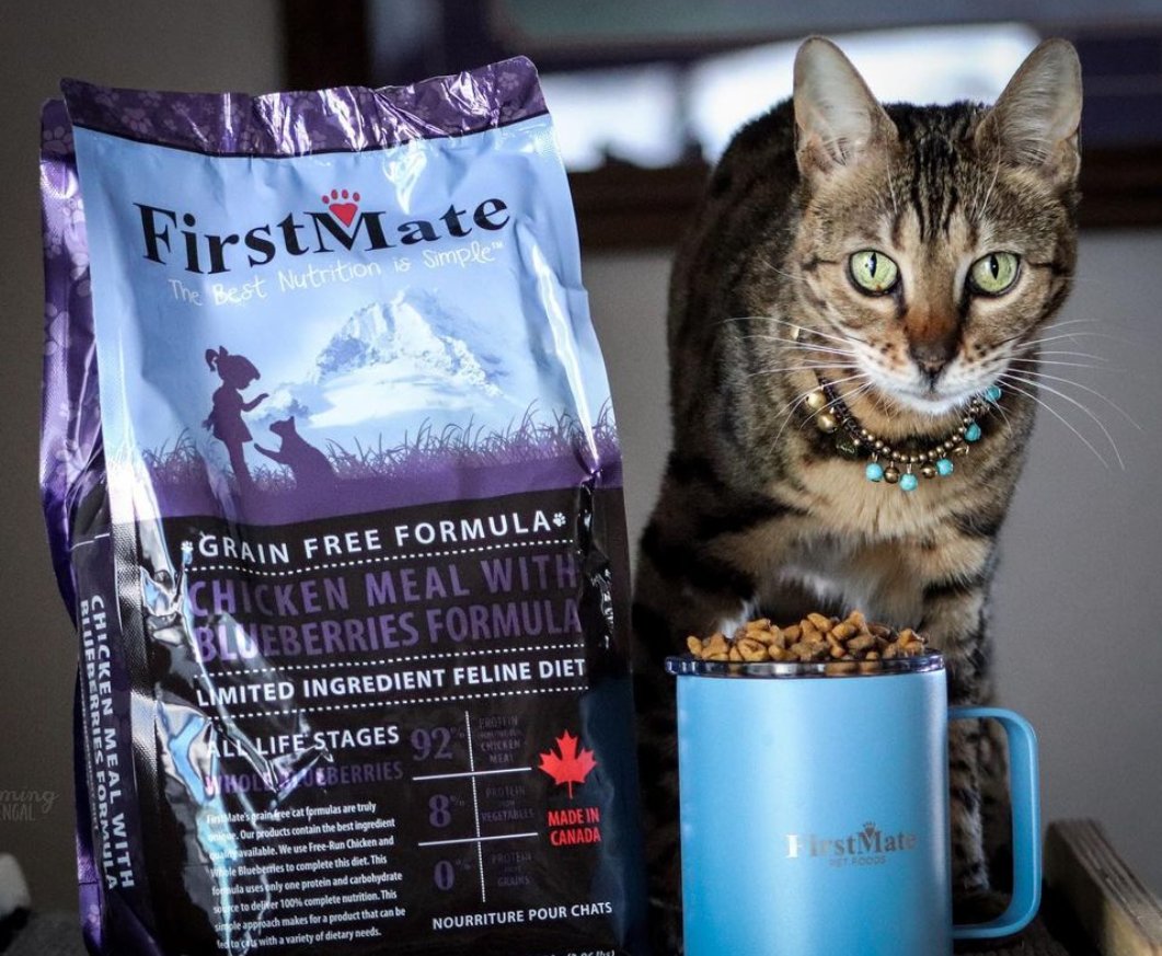 FirstMatePet's tweet photo. Did you know that blueberries promote urinary health? The darker the berry, the stronger the urinary health benefits!
🐾 Veterinarian Formulated
🐾 Single Meat Protein
🐾 Proudly Made in British Columbia, Canada
.
.
.
📸: Wyoming.Bengals | #MyFirstMate https://t.co/H5MjVdpttT