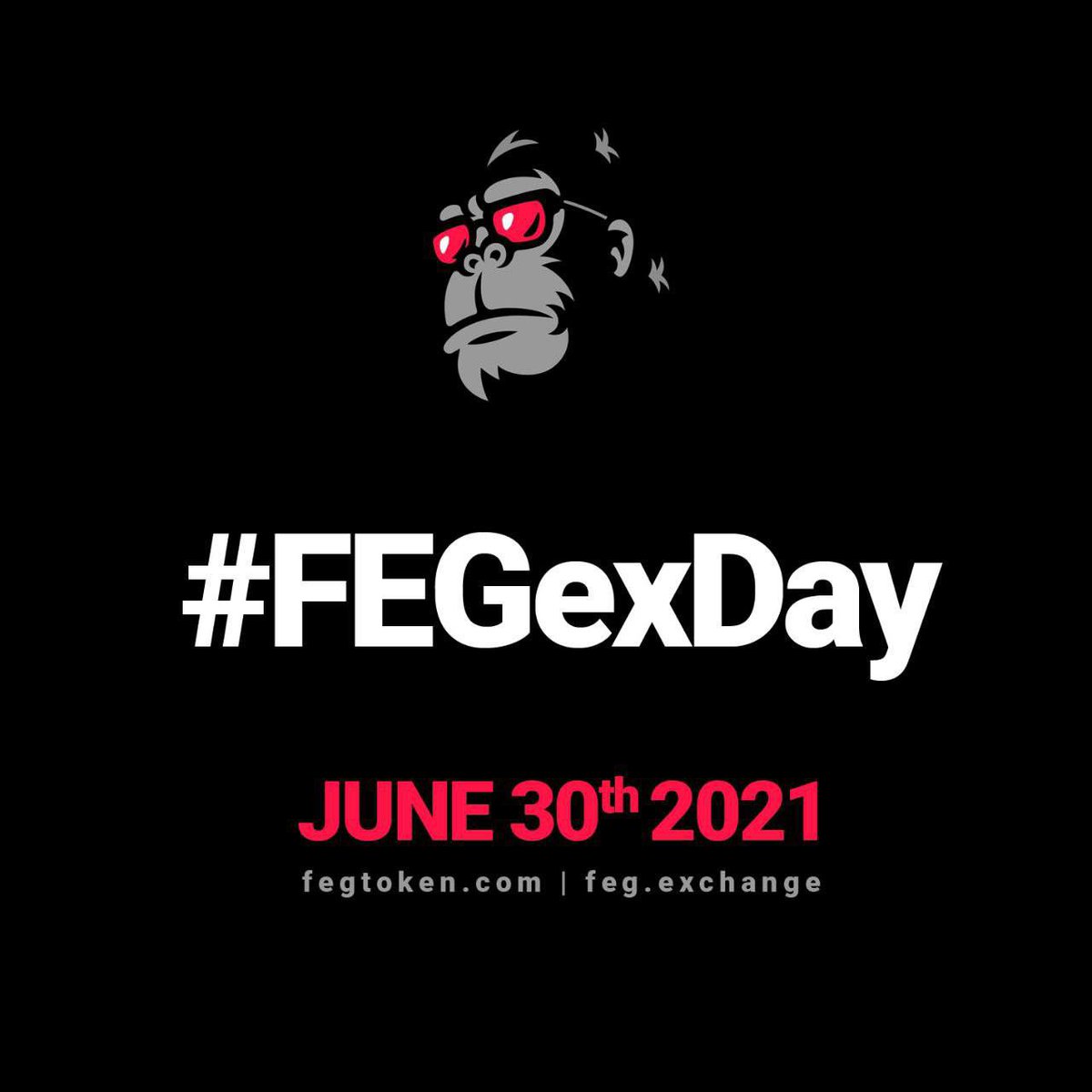 RT @FEGtoken: #FEGexDay! Get ready #FEGArmy! The revolution is about to begin! https://t.co/RntZa2DTIJ