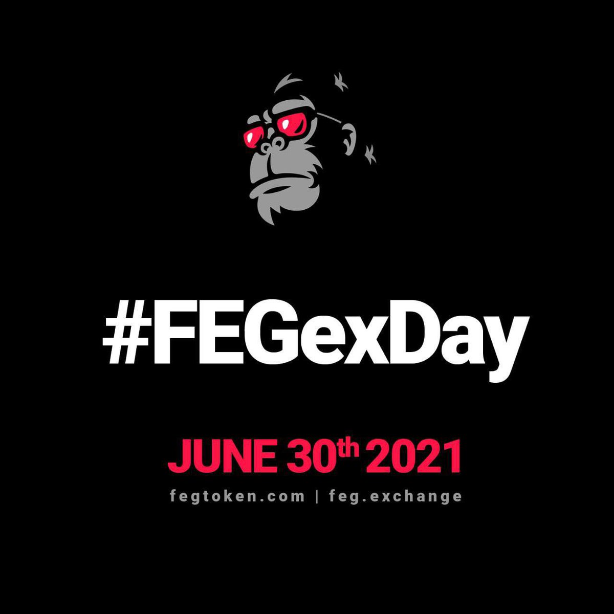 FEGtoken's tweet photo. #FEGexDay! Get ready #FEGArmy! The revolution is about to begin! https://t.co/RntZa2DTIJ