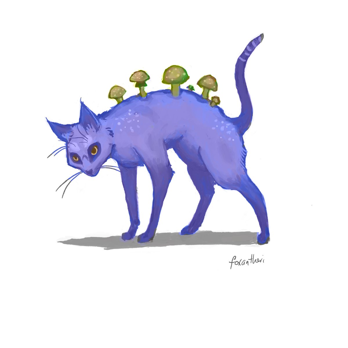 Foxantheri 🦊 Illustrator tweet media