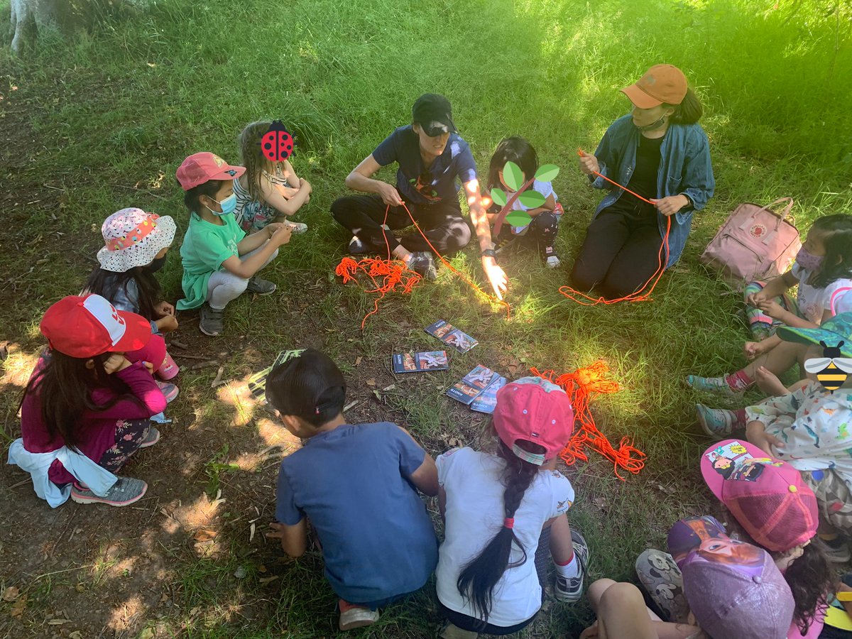 Petits Griffons tweet media