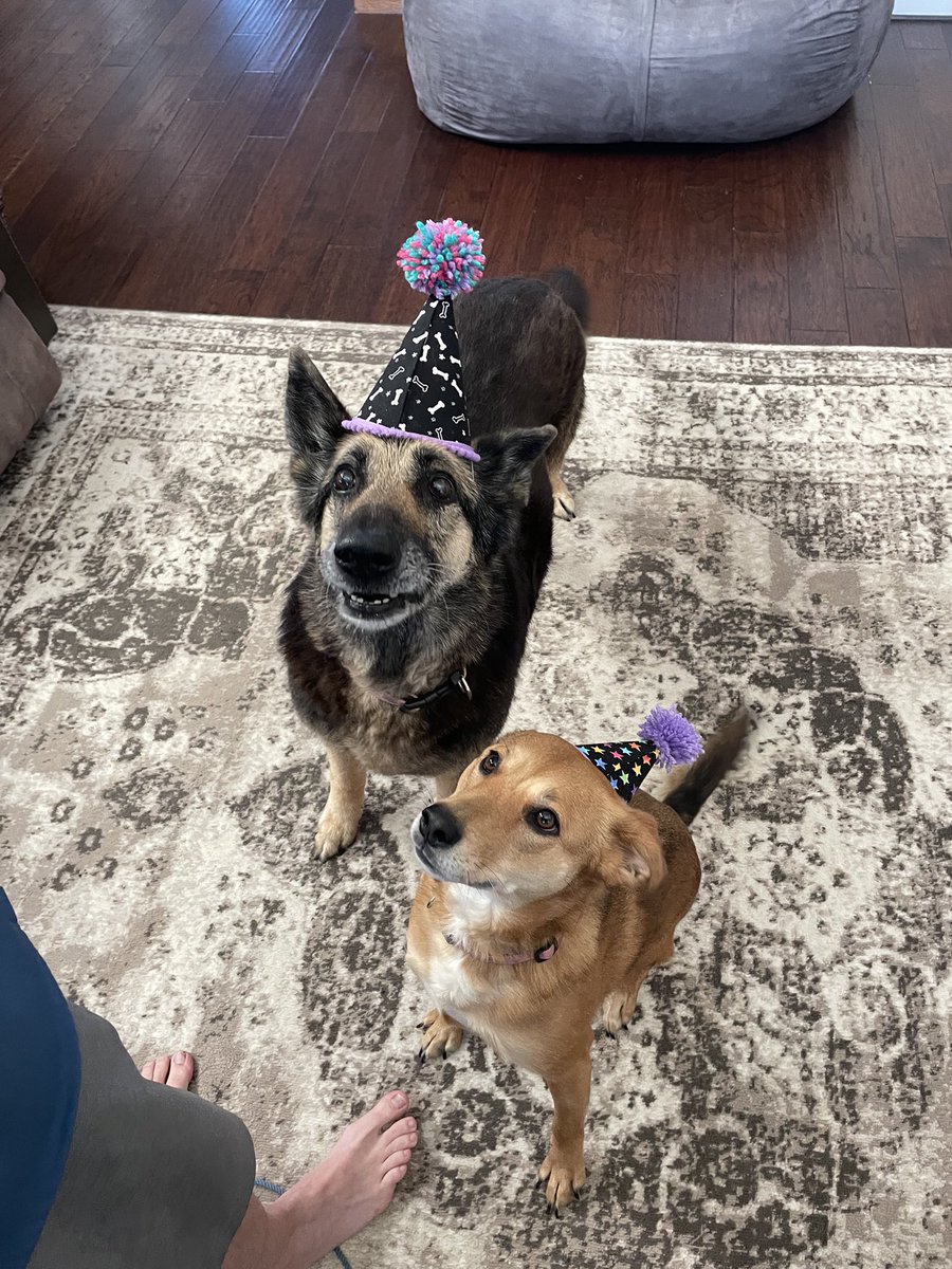 jbowknows's tweet photo. My wife and oldest daughter were whaling in pain.  Koda, you will be missed but never forgotten.  You forever filled our hearts with love and joy.  We have so many great memories.

RIP Koda  —  4/20/09 - 6/24/21 (4/4) https://t.co/BYuZ7l15bO