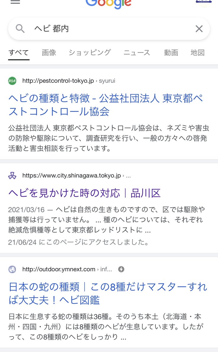 スタジオweba ウィーバ 江東区大島 On Twitter さきほどスタジオ前でお客様がヘビ と遭遇 この場所では初めて見た 公園となりで草木あるし小名木川目の前だし環境的にはいてもおかしくないか ちなみに ヘビ 都内 で検索すると品川区のページが上位なのも